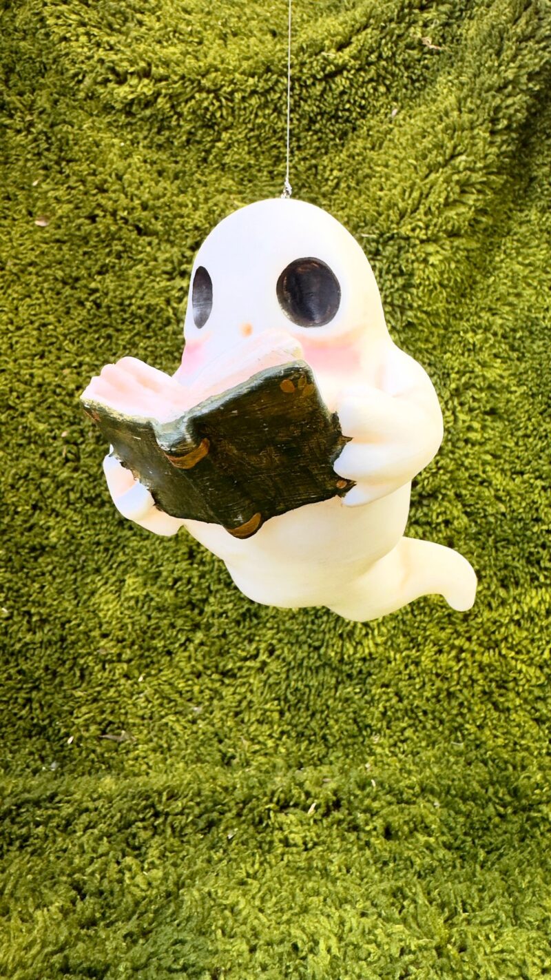 Arttoy Fantasma lector libro verde